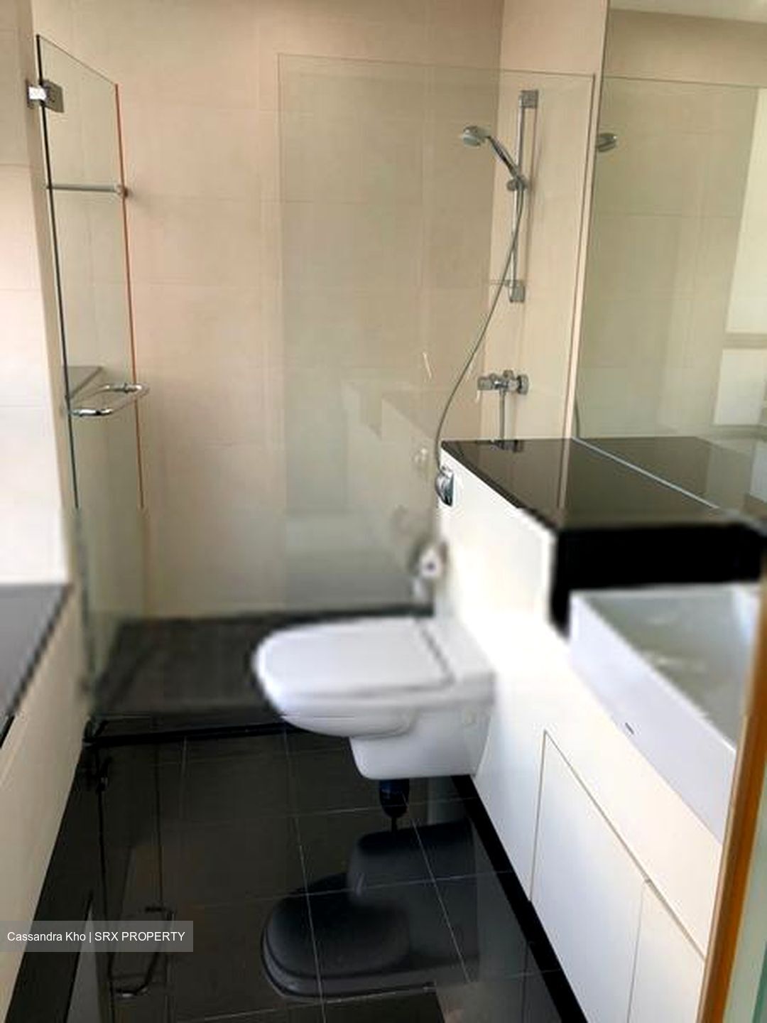 Twin Regency (D3), Condominium #602632141